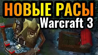 Warhammer в Warcraft: Бретония vs Лесные Эльфы в Warcraft 3 Reforged. Warhammer: Eternal Strife