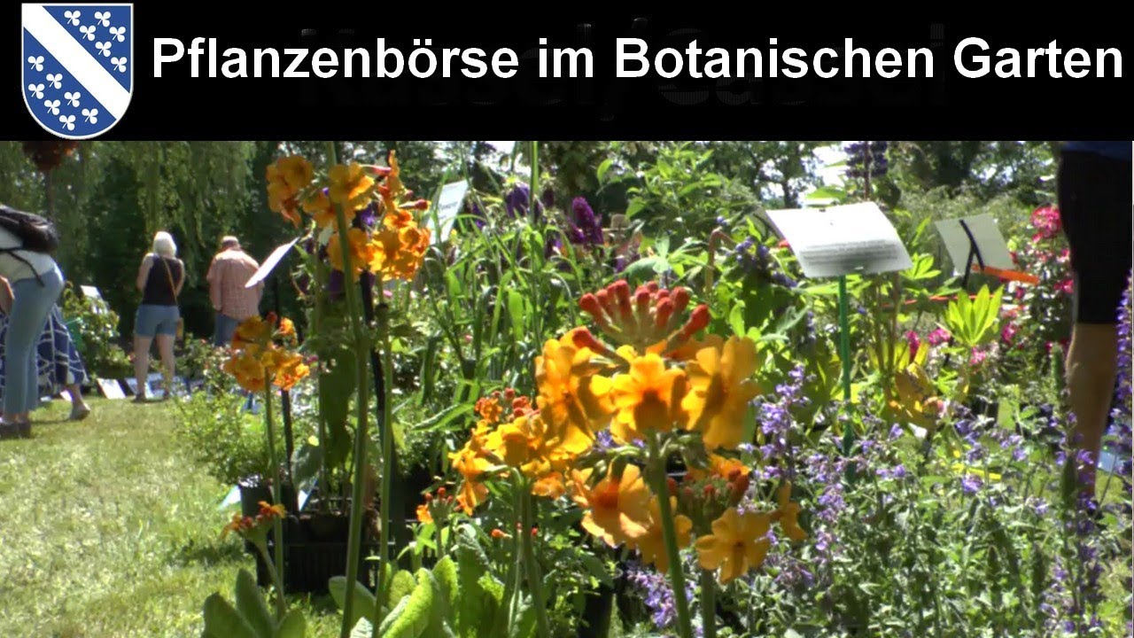 Ein Besuch der Frühjahrs Pflanzenbörse im Botanischen Garten Kassel am 26.Mai 2024.