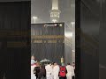 🕋Ali Ali 🕋 Ali Ali🕋 Ali Ali 🕋