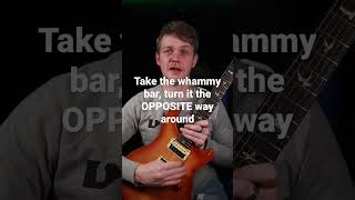 The Most Fun Whammy Bar Trick
