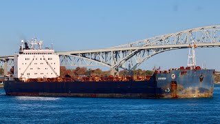 Algoma Guardian Freighter Salute