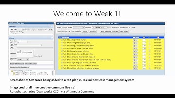 Software Test Management - Week 1 Introduction