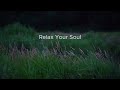Quiet Moments Stay Forever 🌿 Calm Piano Music for Relax, Study &amp; Sleep
