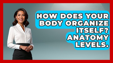 How Does Your Body Organize Itself? Anatomy Levels. - All About Anatomy Answers