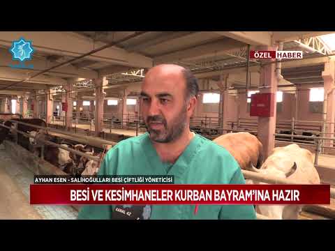 Besi ve kesimhaneler Kurban Bayramı'na hazır