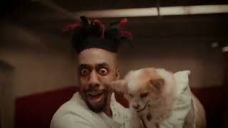 Dax - Why So Serious: Roasted By Chihuahua