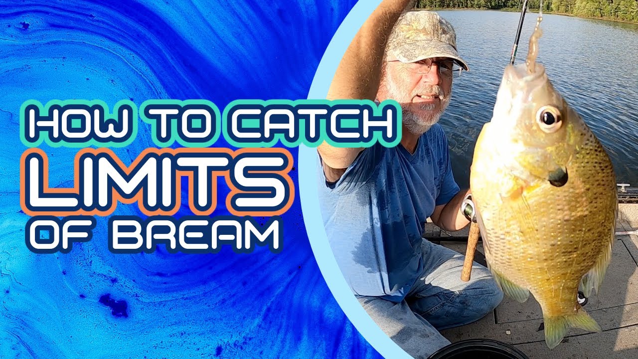 How to Catch Limits of Bream! YouTube