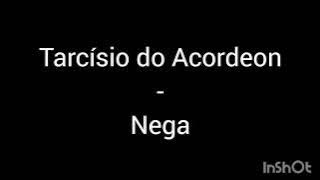 Tarcísio do Acordeon - Nega (Letra)