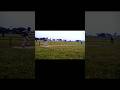 cricket match six short reel#viral #cricket #cricketlover short video