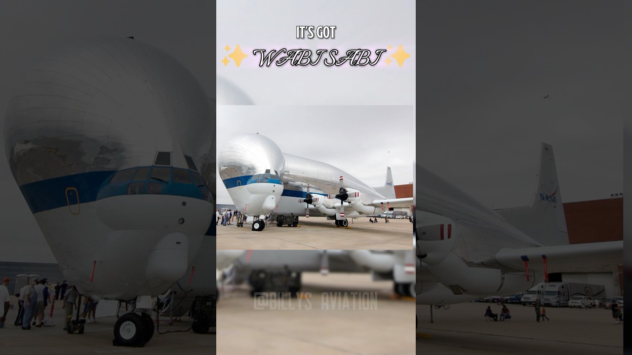 У Супер Гуппи есть WABI SABI✨ 