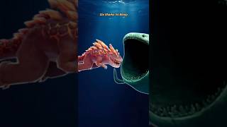 Hungry Shark Evolution Sharks Vs Bloop King 👑#new #shorts