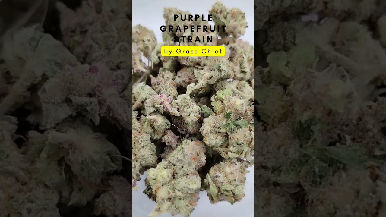 Flavourful Purple Grapefruit by Grass Chief