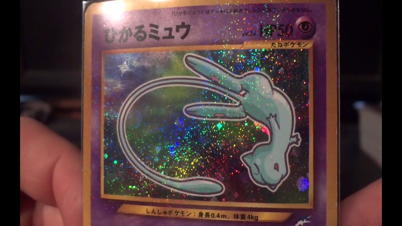 WRC's Japanese Shining Collection!