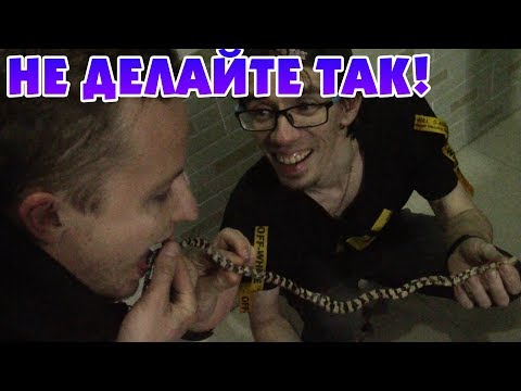 ЗМЕЯ в БУТЫЛКЕ! 🔥 ОБЗОР ДИКОЙ КИТАЙСКОЙ ВОДКИ
