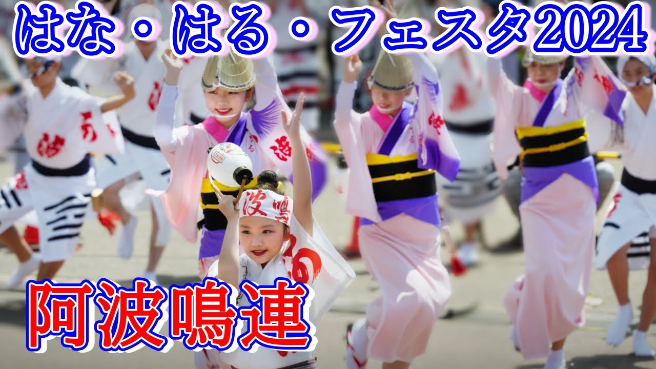 阿波踊り2024】はなはるフェスタ2024 阿波鳴連 - YouTube
