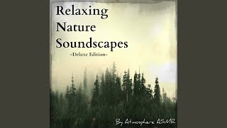 Oceanside Campfire + Thunder Storm Soundscape