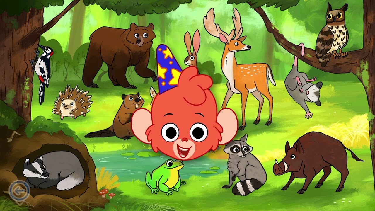 Baboo Animal Puzzles Part 3