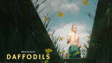 BRNSRGHT - Daffodils ( Official Video)