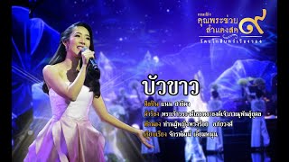 เพลง บัวขาว | แนน สาธิดา l คอนเสิร์ตคุณพระช่วยสำแดงสด ๙