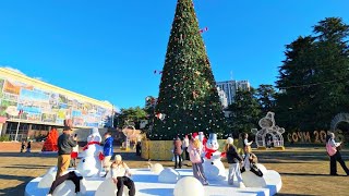 ✅️🎄27 ДЕКАБРЯ В СОЧИ: +5°, НОВОГОДНЯЯ АТМОСФЕРА,  УЛ. НАВАГИНСКАЯ, ГЛАВНАЯ ЁЛКА. НОВЫЙ ГОД В СОЧИ