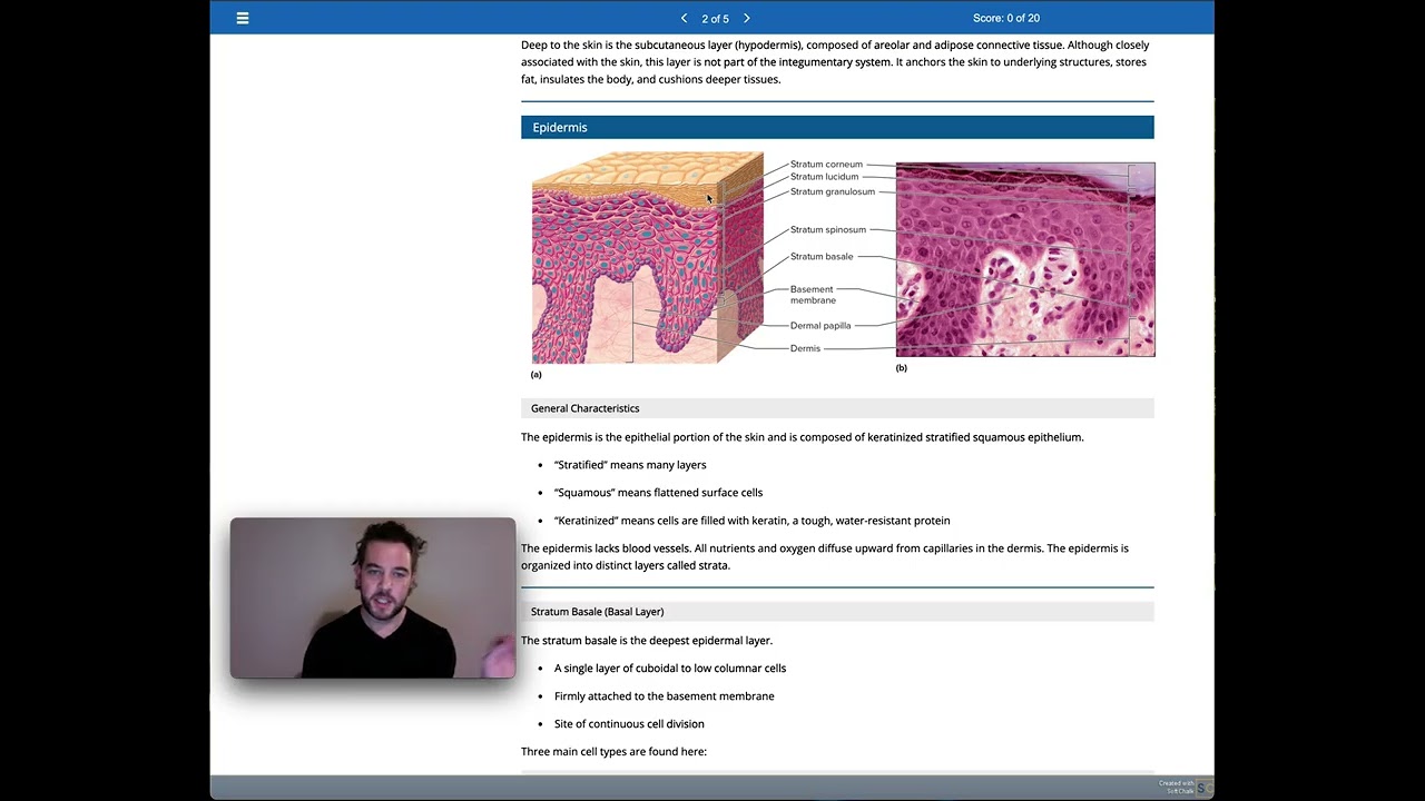 BIO 163: Chapter 6 Lecture Video