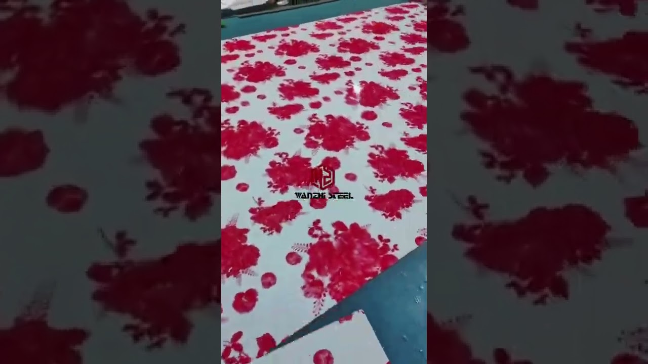 【Pattern Printed Steel Coil】-Printed PPGI Steel Coil  | Wanzhi Steel