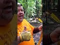 Handmade Selfbow vs Store Bought Bow #archery #comparison