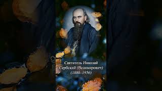 Святитель Николай Сербский (Велимирович)