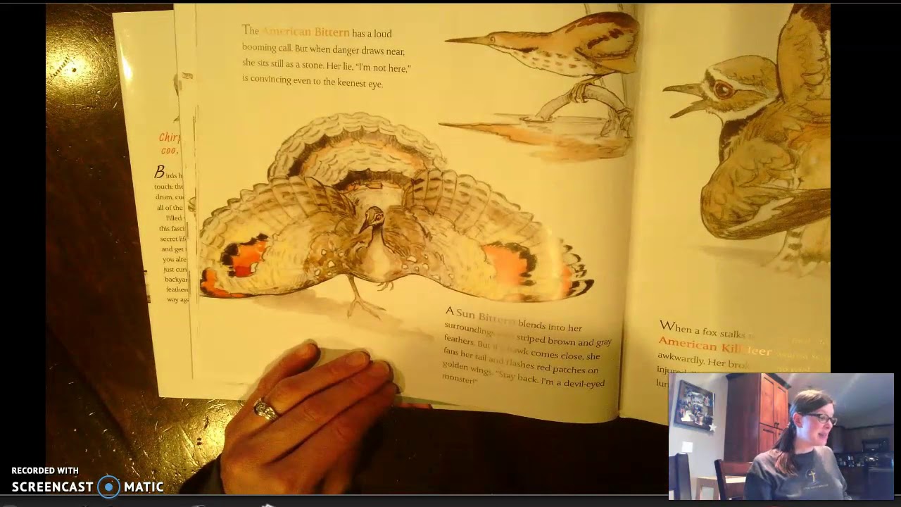 Read Aloud Bird Talk What Birds are Saying and Why YouTube