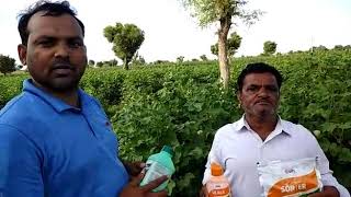 Upl Limited....ulala And Ganexa.. Best Plants Grouth. Farmer Meet Best Result