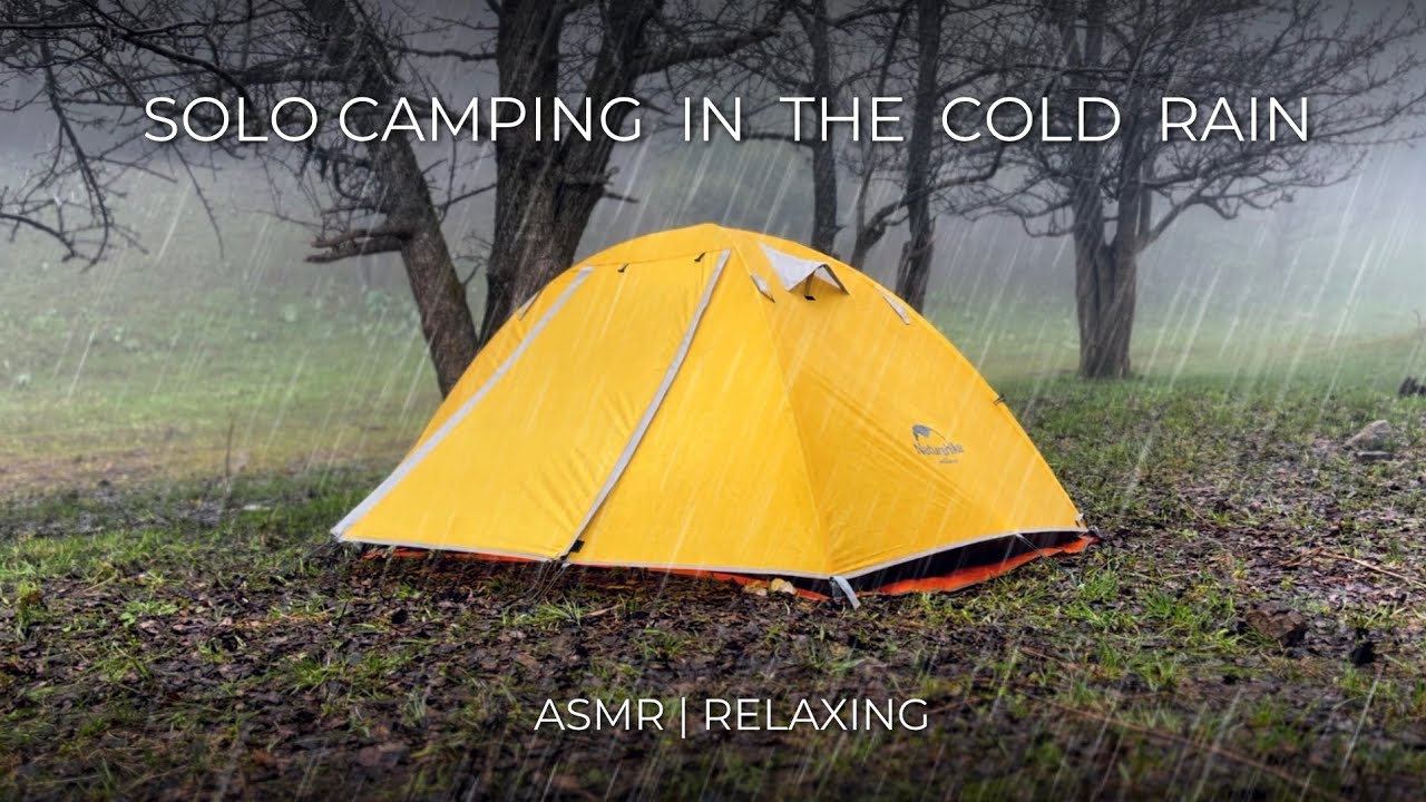 SOLO CAMPING IN THE COLD RAIN RELAXING ASMR NATURE YouTube