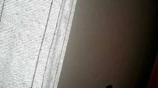 k f s P4140138
