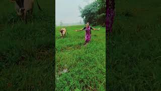 Ham Jara main to Giri main to Giri #song #dance #shorts