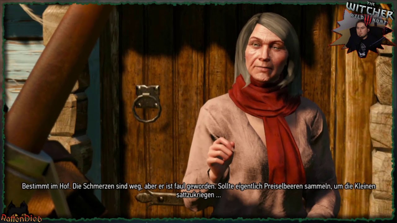 The Witcher 3 Böse Hexe Besiegen