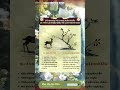 Bí Quyết Khai Vận Sức Khỏe Toàn Diện: Tinh Thần Minh Mẫn, Cơ Thể Khỏe Khoắn Chỉ Sau Vài Bước ĐơnGiản