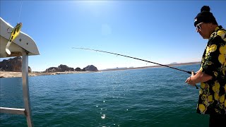 Fishing Lake Powell, Utah on the 75' Excursion Houseboat, 6 June 2021, GX010345