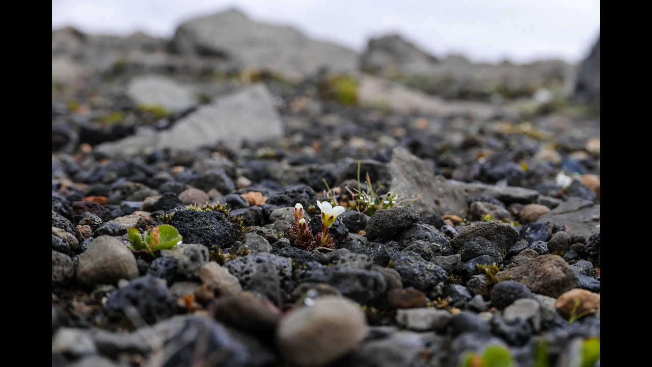Solo Iceland traverse - July 2015 — Rifstangi — video poster