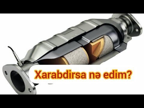 Video: Fermentlər katalizator kimi necə işləyir?