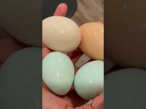 Our first blue