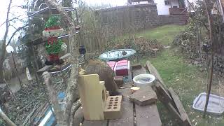 The squirrel pops this groundhog on the nose in the groundhogs like “really“