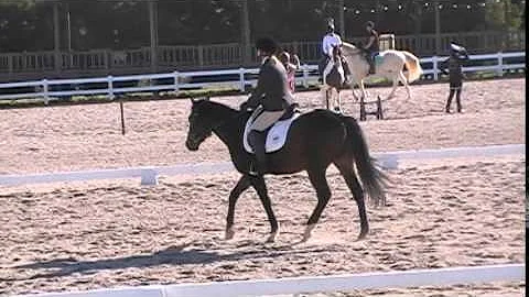 2015 02 07 Amen Corner Schooling Show 'Lavalais' (Chad) Intro Test A