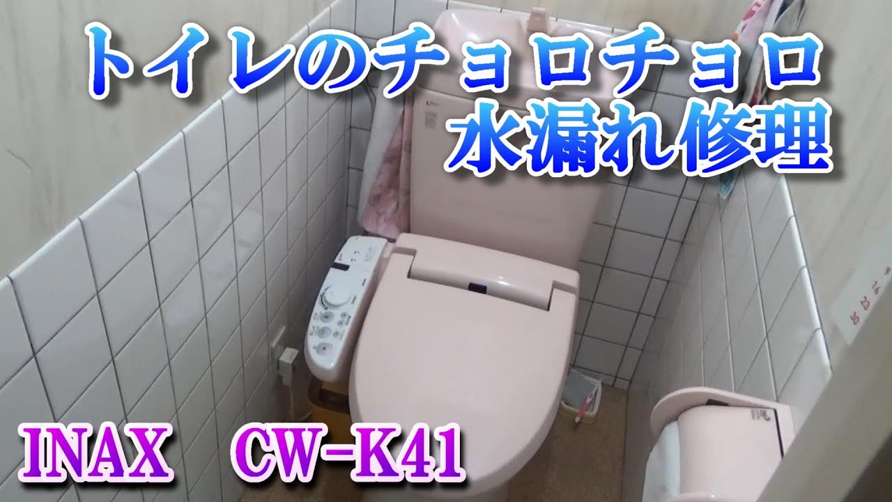 INAX Shower Toilet CW-K41 - Repairing a persistent leak (float 