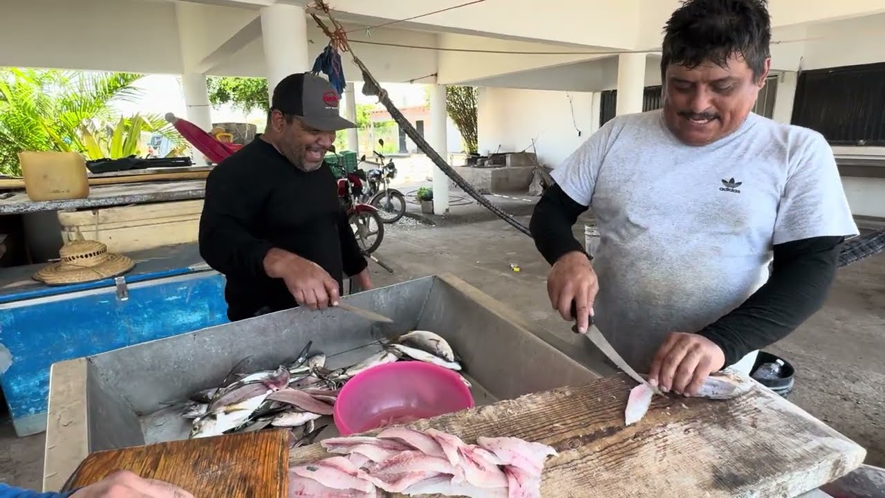 Bajas las capturas de camarón en Guasave el Mariskero aprovecha los pescados para preparar esto 