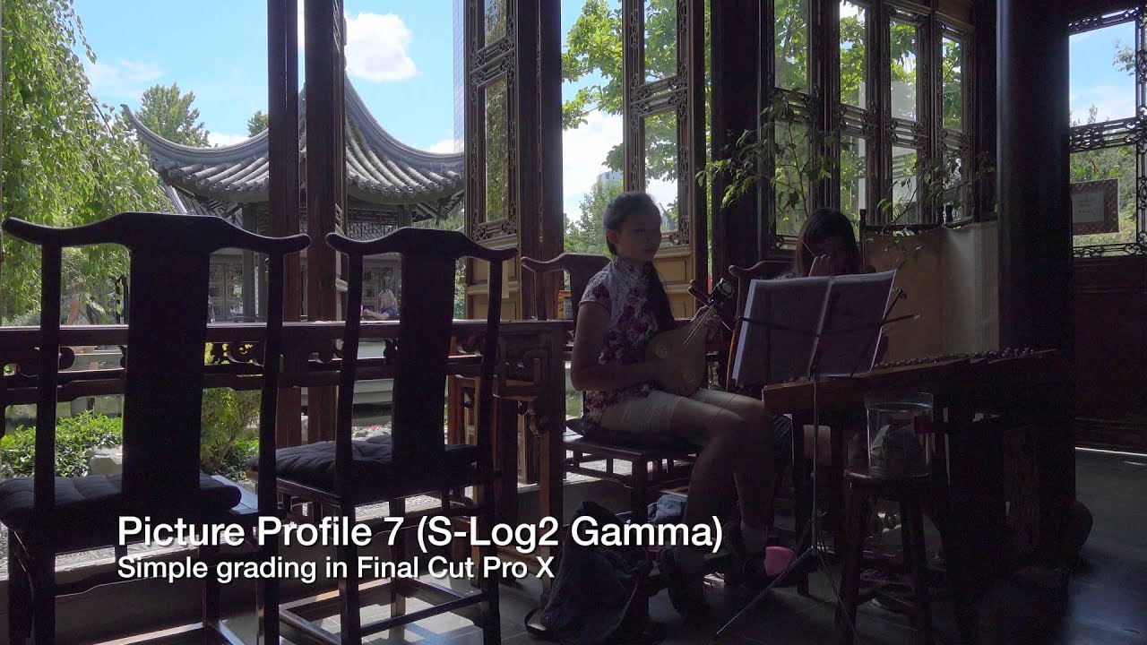 s-log2 gamma Log2 Sony DSC S RX100 showing gamma shot 4K IV Cyber video