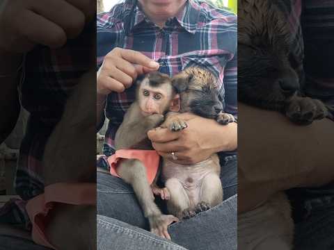 Adorable Sokhaa So Cute And Lovely Will MAKE YOU SMILE