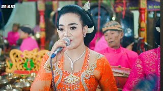 Download Lagu gecull SAMBUNG WANCI DALU cokek NGESTI IROMO gong gentong CLANOFA audio MP3