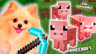 ТРИ ПОРОСЕНКА В МАЙНКРАФТ ! СТРОЮ БОЛЬШУЮ ФЕРМУ В MINECRAFT