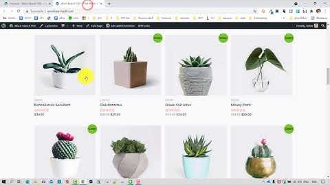 016 การเพิ่มสินค้าแบบฟรีใน WordPress Woocommerce ตอนที่ 1