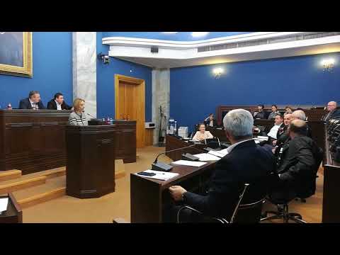 შელაპარაკება გიორგი ვაშაძესა და ლევან კიბერიძეს შორის