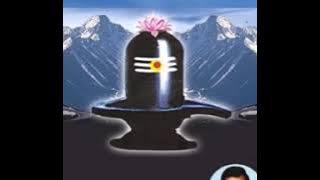 SHIVA STUTHI. BY S.P.BALASUBRAMANIAM..
